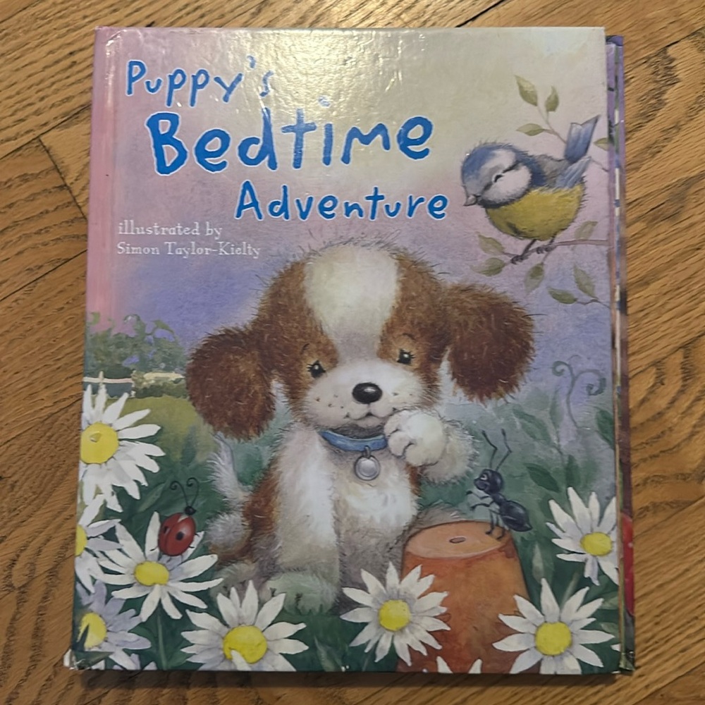 Puppy’s Bedtime Adventure Pop Up book